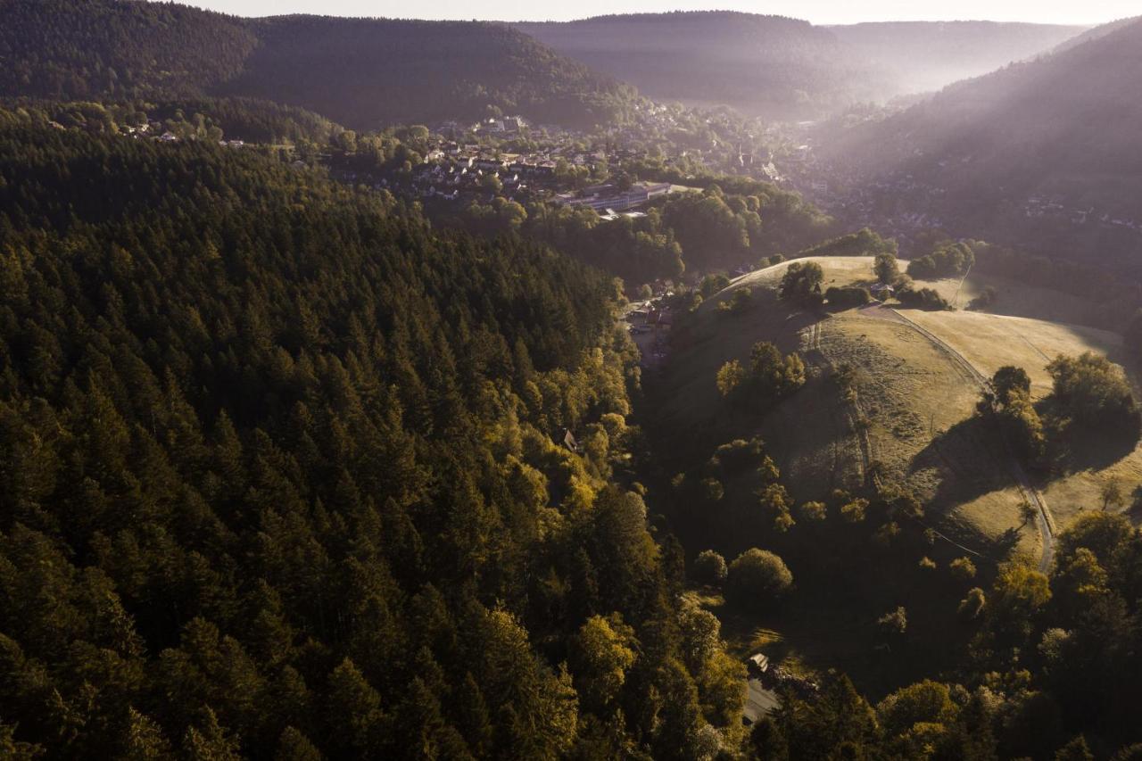 Schweizerhaus Villa Alpirsbach Luaran gambar